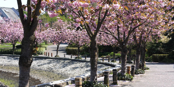 10 Things To Prep Your Property For Spring